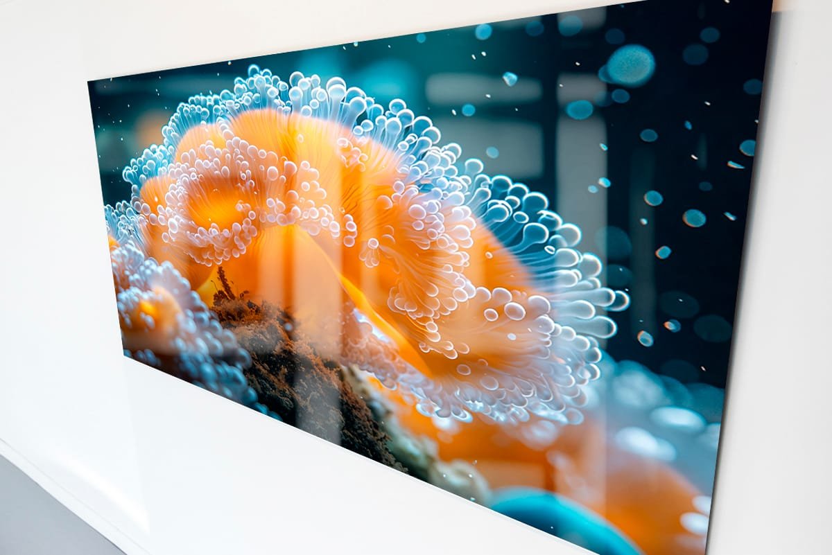 Acrylic No Frame On A Gallery Wall 2 Intention By Design Copy